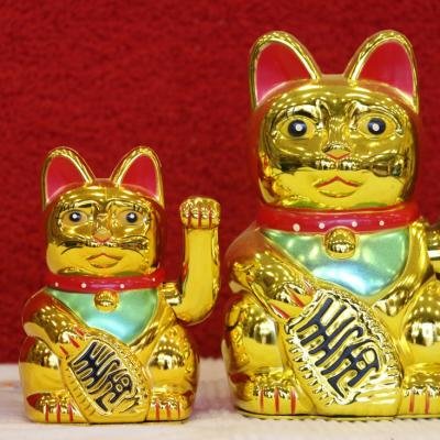 Lucky Cat